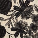 2446801 - Noir fond vanille