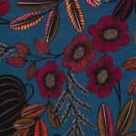 2446605 - Multicolore fond bleu nuit