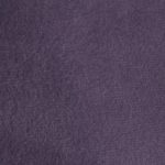 1177936 - Raisin