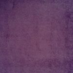 1177943 - Violet
