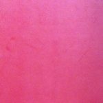 1177944 - Rose