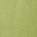 1177957 - Vert tilleul