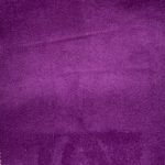 1177964 - Myrtille