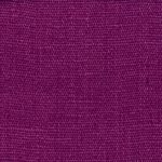 1529858 - Violet