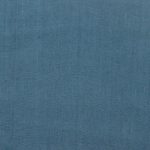 1529862 - Bleu paon