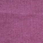 1529885 - Aubergine