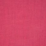 1529893 - Framboise