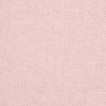 2304827 - Rose pastel