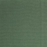 2342610 - Thyme