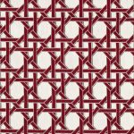 2343711 - Coral