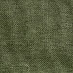 1166650A - Vert mousse