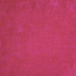 1293934 - Fuchsia