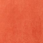 1293937 - Orange