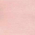1293944 - Rose pale
