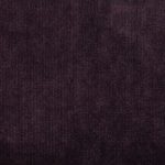 1293956 - Myrtille
