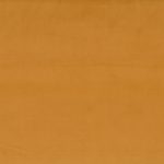 2188718 - Ocre