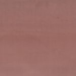 2188719 - Rose ancien