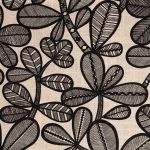 2324801 - Noir fond vanille