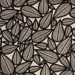 2325801 - Noir fond vanille