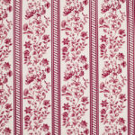 6026605 - Framboise